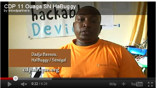 Ha Buggy