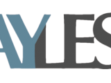 Logo Payless