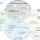 ShaREvolution - Les territoires d'innovation
