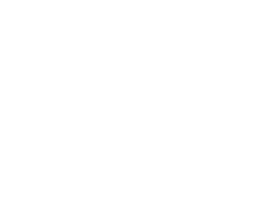 Fing